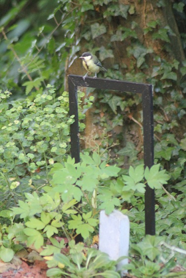 mésange 2007.JPG