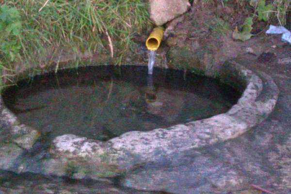 IMAG0068.jpg
