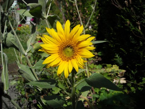 DSCN0214.JPG