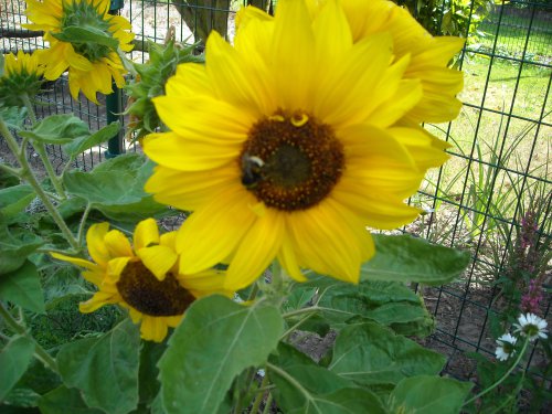 DSCN0215.JPG