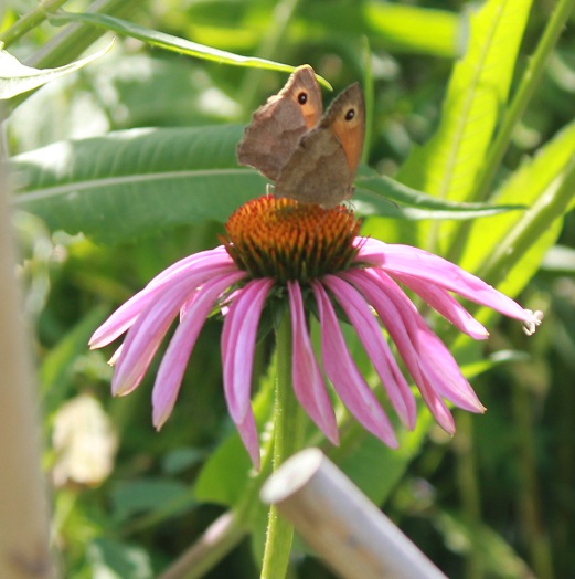myrtils 0408.JPG