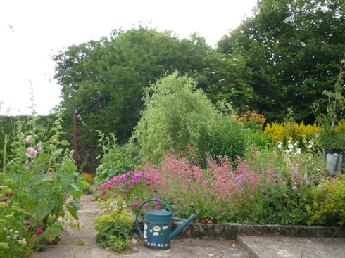 Allée vers potager.jpg