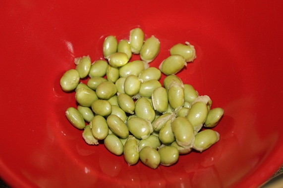 edamame cru 3108.JPG