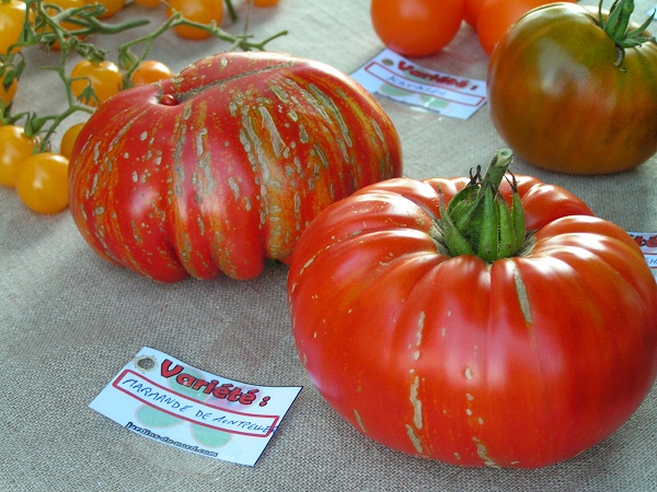 PICT0013.JPG