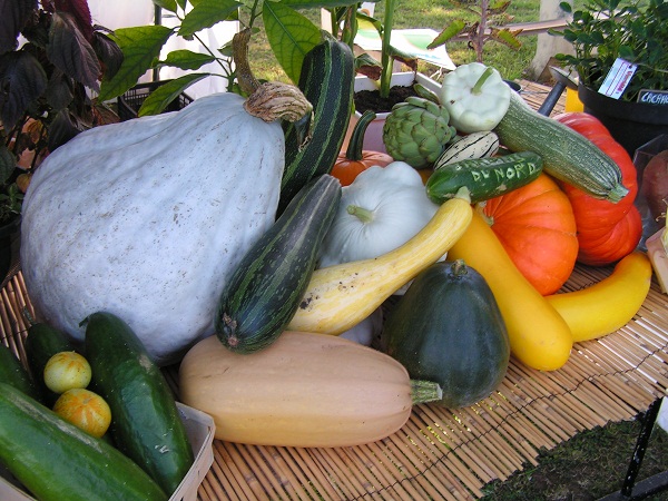 PICT0016.JPG