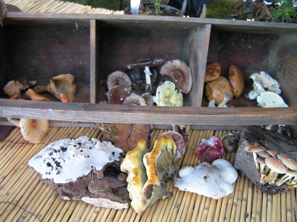 PICT0015.JPG