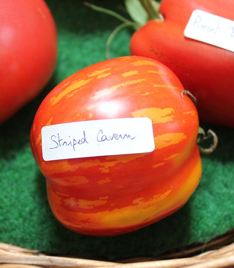 Haversquerke 2013 025.JPG