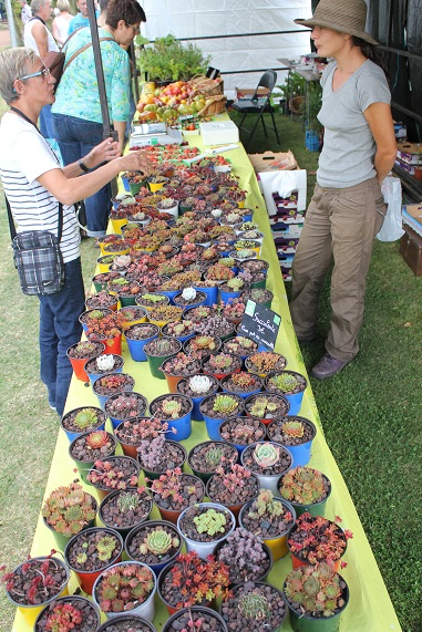 Haversquerke 2013 044.JPG