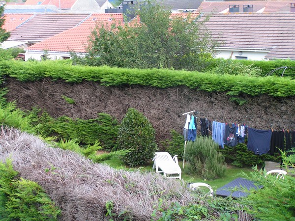 PICT0006.JPG