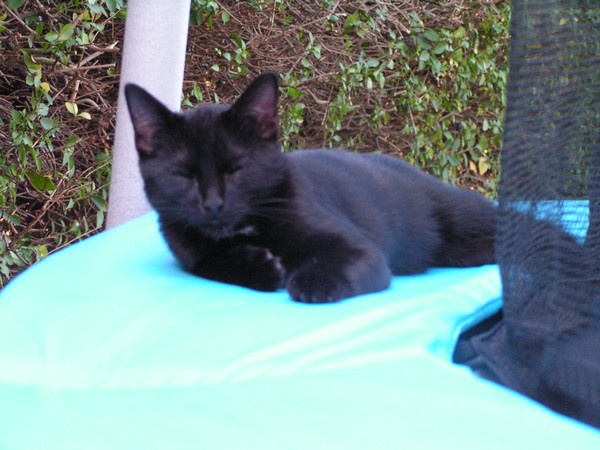 PICT0001.JPG