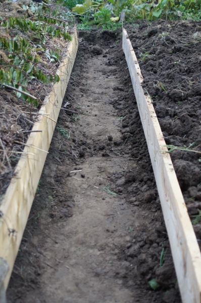 butte 02 creation 02.jpg