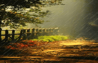 pluie octobre.gif