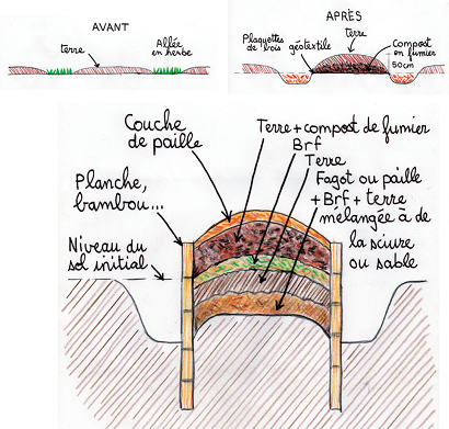 potager-bute-conseils-1024x976.png