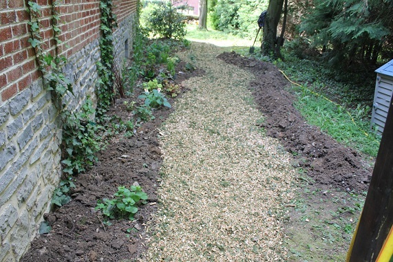sentier 7.jpg