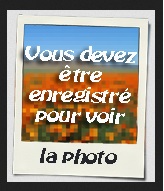 Sans titre.jpg