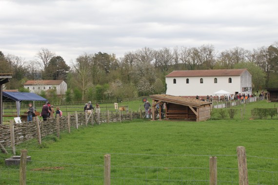 avril 5 Malagne 074.jpg