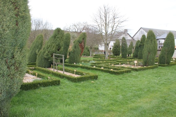 potager malagne 1.jpg