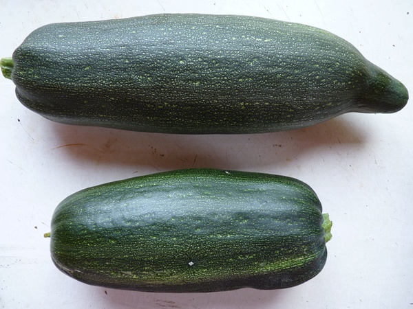 courgettes