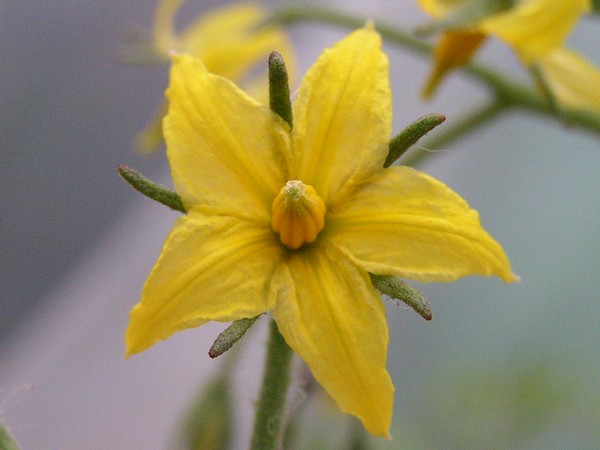 King island_2105_4.jpg