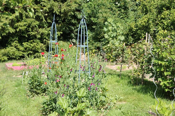 potager A 2206.JPG