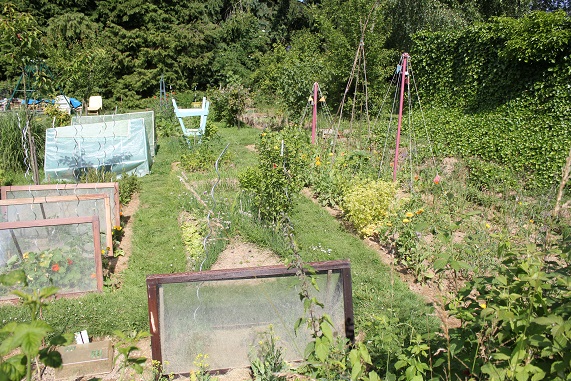 potager B 2206.JPG