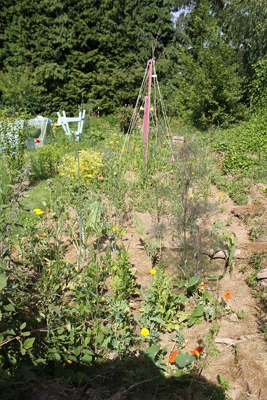 potager C 2206.JPG