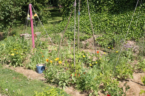 potager D 2206.JPG