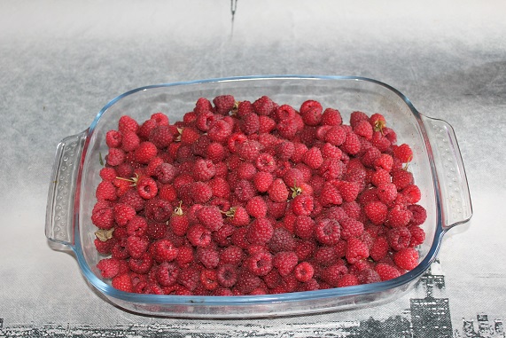 framboises 2106.JPG