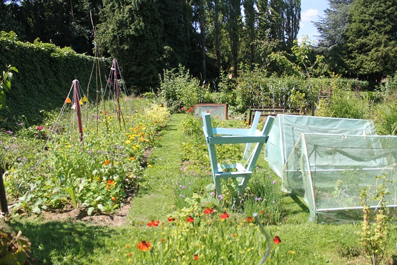 potager B 3006.JPG