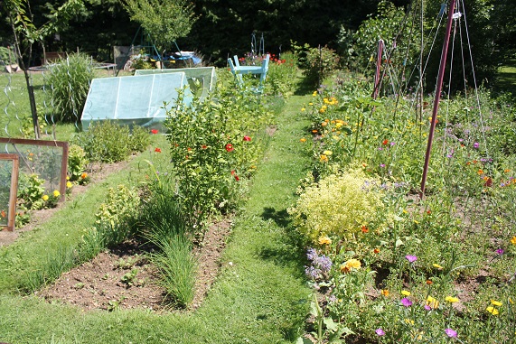 potager D 3006.JPG