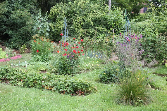 potager fleurs 0607 B.JPG