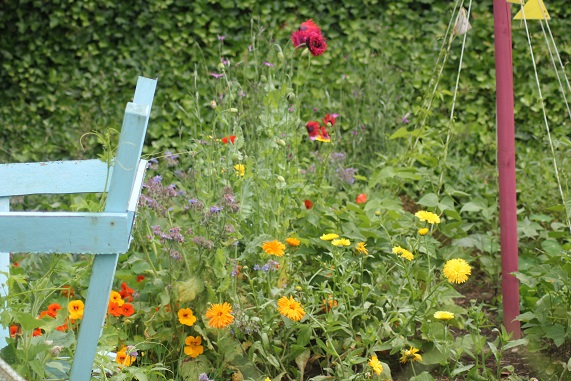 potager fleurs 0607 A.JPG