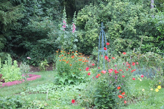 potager 1207.JPG