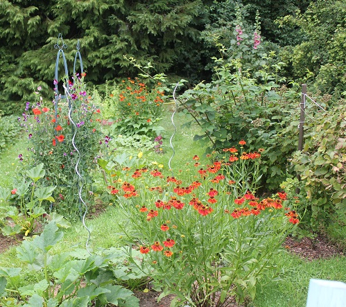 potager 1207 C.JPG
