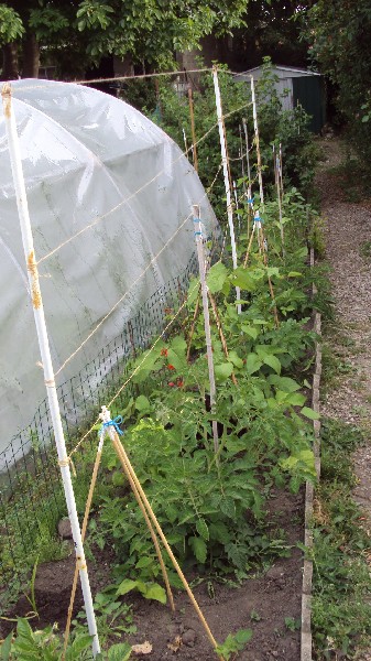 potager_enfants_050710.JPG