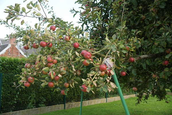 DSC03028.JPG