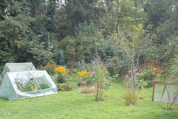potager B 0909.jpg