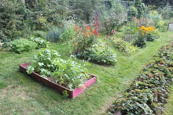 potager E 0909.jpg