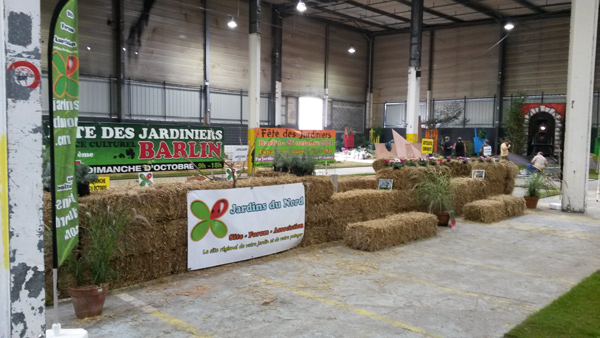 Face public atelier adulte bouturage