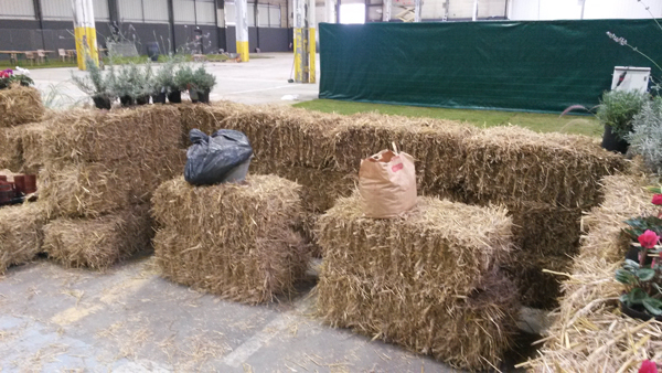 Atelier adulte côté animateurs