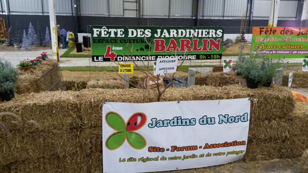 Face public atelier adulte bouturage