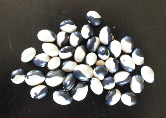 haricots starazagorski 2109.jpg
