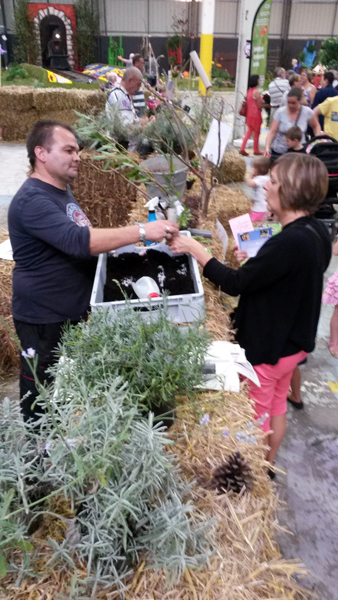 David à l'atelier bouturage