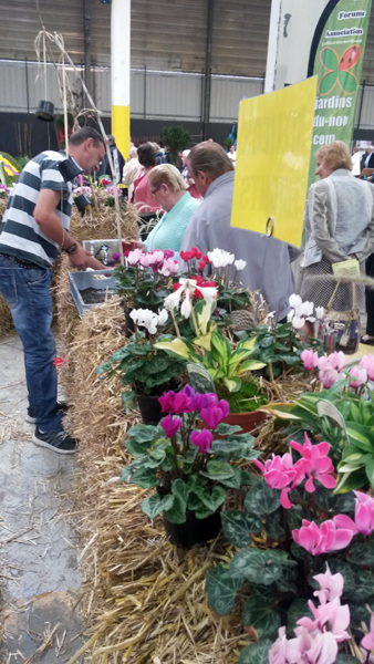 Michel à l'atelier mangeoire