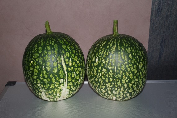 courge de Siam 1410.jpg