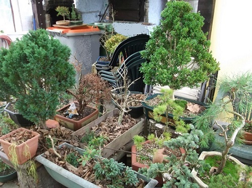 DSCF3373.JPG