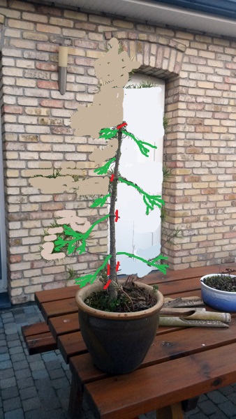 01_sapin_de_noel01.jpg