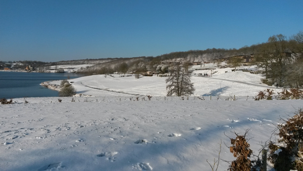 Les cottages (chalets)