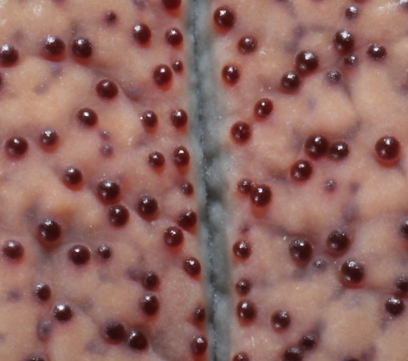 quizz 16 16012015.JPG
