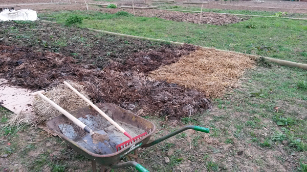 Mise en place du parc de fraisiers